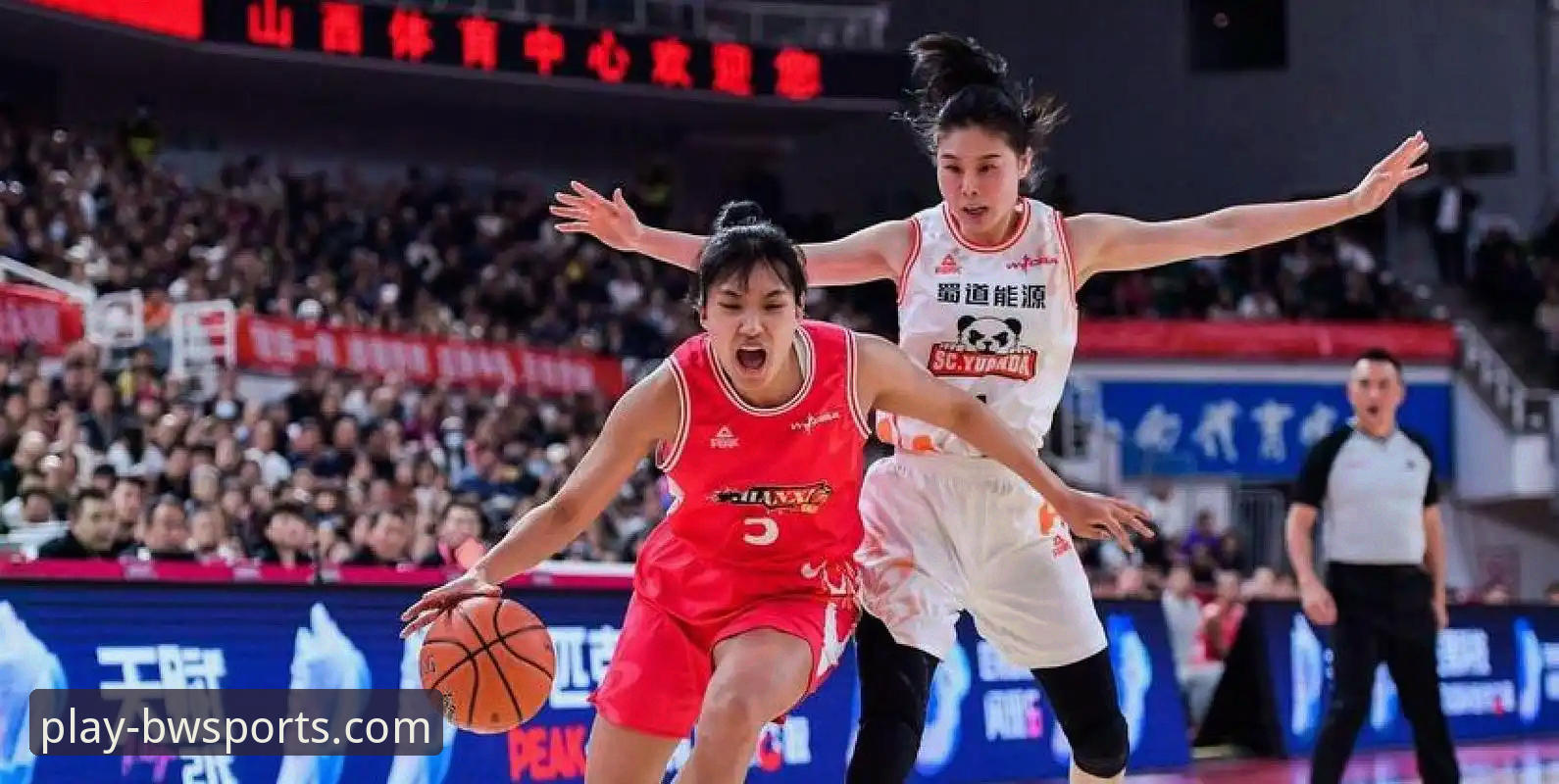 WCBA总决赛G1四川女篮大胜山西创纪录——宝威体育平台深度解析赛事背后策略